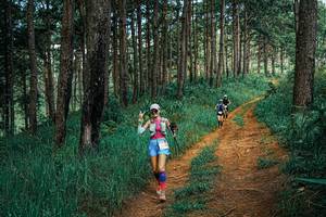 BIB: 
                            <button type="button" onclick="openModal(25747861)" class="btn btn-primary btn-sm float-right btn-popup" data-toggle="modal" data-target=".modal-high-quality">
                        <i class="fas fa-shopping-cart"></i> Add to Cart
                    </button>
                                            <button type="button" onclick="isThisMe(25747861, true)" class="btn btn-success btn-sm float-right btn-popup btn-isme hidden" data-toggle="tooltip" data-placement="bottom" title="นี่คือรูปของคุณใช่ไหม คลิกที่นี่เพื่อเอาเข้าอัลบั้ม">
                        <i class="fas fa-plus"></i> Add to album
                    </button>
                    <button type="button" onclick="isThisMe(25747861, false)" class="btn btn-warning btn-sm float-right btn-popup btn-isnotme hidden">
                        <i class="fas fa-ban"></i> Remove from album
                    </button>